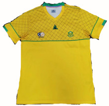 Mens Jersey  South Africa  home 2020/2021