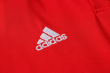 Mens  Ajax  Training suit	 21/22