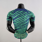 Mens Jersey Brazil Special Edition Green Blue player version 2022-23