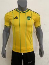 23/24 Jamaica Home Soccer Jersey Fans Version