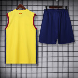Mens Barcelona Vest short training-5 2023/24