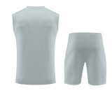 Mens PSG  grey Vest short training 2023/24