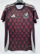 Mens Mexico home soccer jersey custom   2425