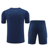 mens Spain  short training Soccer Jerseys Royal blue 2425