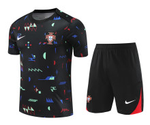 Mens Portugal   short training soccer jerseys back 2425