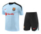 Mens Barcelona  short training soccer jerseys Light blue 2425