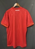 Mens Panama Special Soccer Jerseys  Fans Version 2425