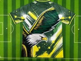 Mens Brazil  special edition soccer jersey 2425