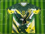 Mens Brazil  special edition soccer jersey 2425