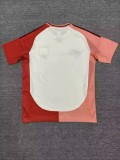 Mens Lyon third away Soccer Jersey Fans Version 2425
