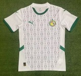 Mens Senegal home Soccer Jersey 2425