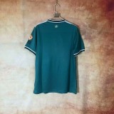 Mens Aston Villa green Jersey 2425