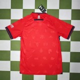 Men Jerseys  soccer  Osasuna home 2425