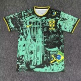 Mens Brazil  special edition soccer jersey  blue green 2425