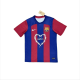 Mens Barcelona Joint Special Edition soccer wear jersey 2425
