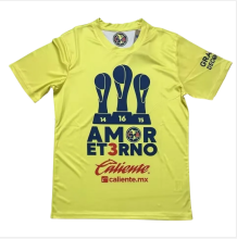 Mens America Champion Yellow  Jersey  2425