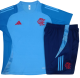 Mens Flamengo   short training soccer jerseys light blue 2425