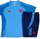Mens Flamengo   short training soccer jerseys light blue 2425