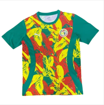 Mens Senegal Training clothes Soccer Jersey 2425
