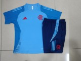 Mens Flamengo   short training soccer jerseys light blue 2425