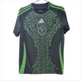 Mens Jersey  Algeria  away  2425