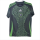 Mens Jersey  Algeria  away  2425