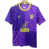 Mens Malaga  training suit purple  soccer jersey 2425