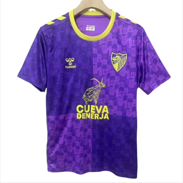 Mens Malaga  training suit purple  soccer jersey 2425