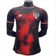 Player Version  Sao Paulo third away Soccer Jersey  2425