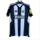 Mens Newcastle home Jersey Fans Version 2425
