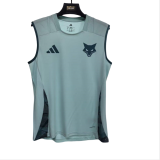 Mens Cruzeiro Training vest Light Blue Jersey 2526