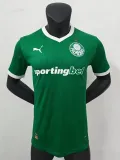 Player version Mens  Palmeiras  home Soccer Jersey  2526