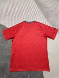 Mens cheap soccer jerseys  Sao Paulo training suit red 2526