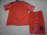 Kids Universidad de Chile away Soccer Jersey 2526
