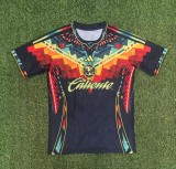 Mens  Club America  Special Edition Cheap Soccer Jersey 2526