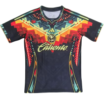 Mens  Club America  Special Edition Cheap Soccer Jersey 2526