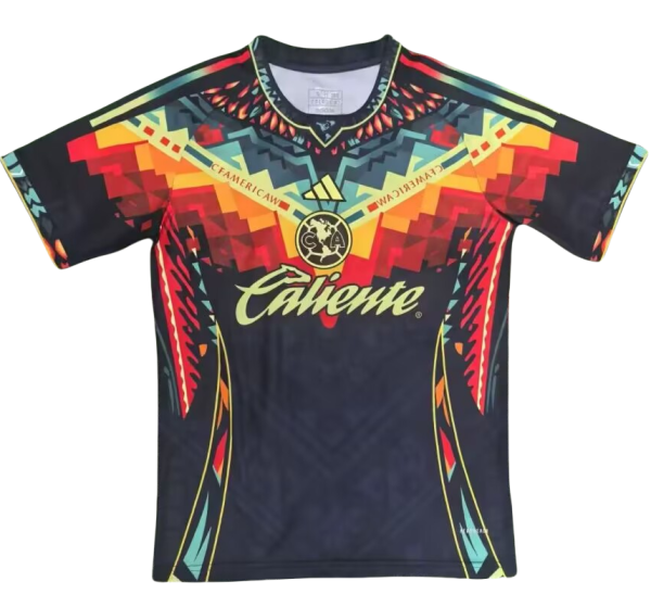 Mens  Club America  Special Edition Cheap Soccer Jersey 2526