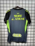2025-26 Mens Tigres  goalkeeper  black soccer jersey