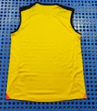 2025-26 Mens Atletico Mineiro Vest Training shirts Jersey