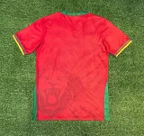 2025-26Mens Cameroon away red Fans Soccer Jersey