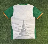 2025-26Mens Cameroon Third away Fans Soccer Jersey