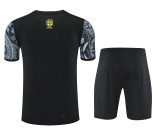 2025-26 Mens Brazil  grey  Short Training Suit
