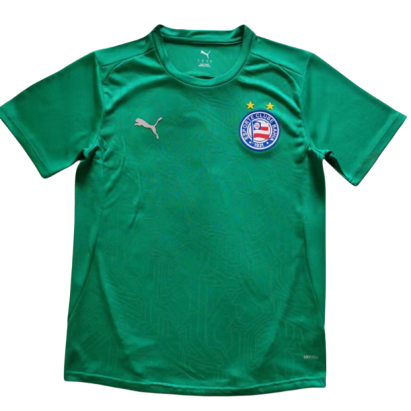 2025-26 Mens BaHia green GoalKeeper Soccer Jersey