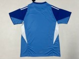 2025-26 Mens Venezuela Goalkeeper blue soccer jersey