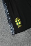 2025-26 Mens Brazil NEW vest  Short Training Suit