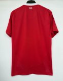 2025-26 Mens Brazil International 1:1 red Soccer Jersey