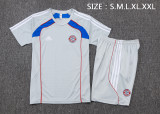 2025-26 Mens Bayern Munich Grey Retro Edition Training Short Suit