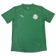 2025-26Mens  Palmeiras  goalkeeper  green Soccer Jersey