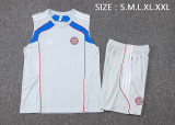 2025-26 Mens Bayern Munich Grey Retro Edition Vest short training