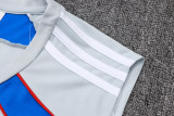 2025-26 Mens Bayern Munich Grey Retro Edition Vest short training